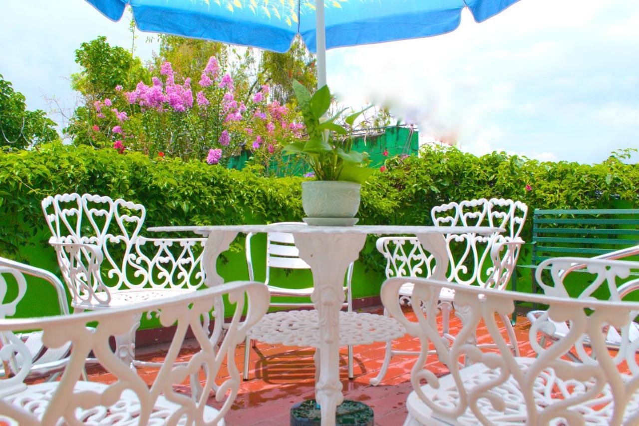 Oasis Bed and breakfast